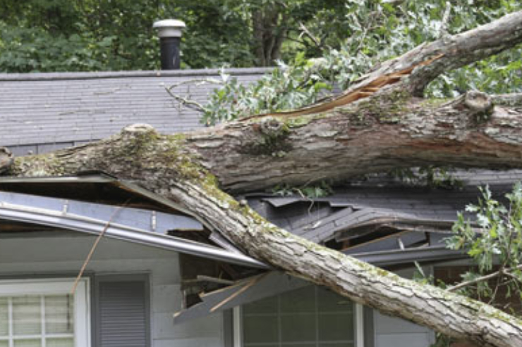 roofing, roof repair, roofing repair, shingles, flat roof, TPO, EPDM